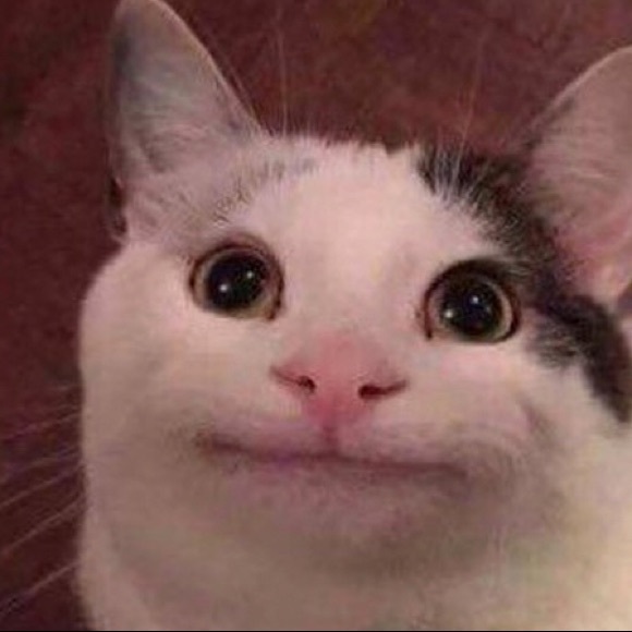 Meet your Posher, Chloe - Picture 1 of 1